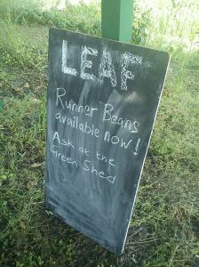 Runner Beans on offer at LEAF